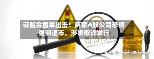 证监会重拳出击！两家A股公司恐将强制退市，涉嫌欺诈发行-第3张图片