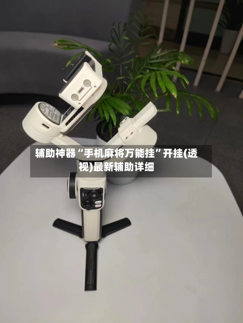 辅助神器“手机麻将万能挂	”开挂(透视)最新辅助详细-第1张图片