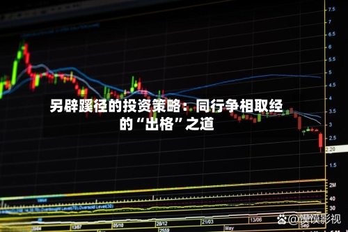 另辟蹊径的投资策略：同行争相取经的“出格”之道-第1张图片