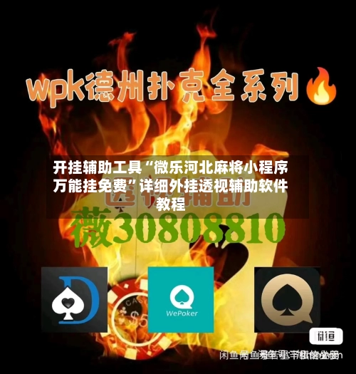 开挂辅助工具“微乐河北麻将小程序万能挂免费”详细外挂透视辅助软件教程-第3张图片
