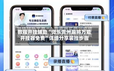 教程开挂辅助“微乐贵州麻将万能开挂器免费”详细分享装挂步骤-第2张图片