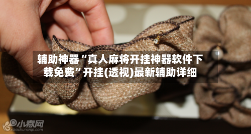 辅助神器“真人麻将开挂神器软件下载免费”开挂(透视)最新辅助详细-第1张图片