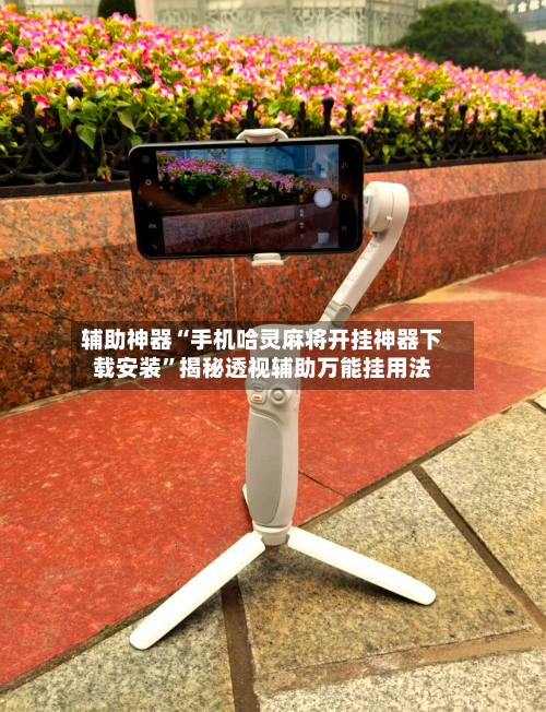 辅助神器“手机哈灵麻将开挂神器下载安装”揭秘透视辅助万能挂用法-第2张图片