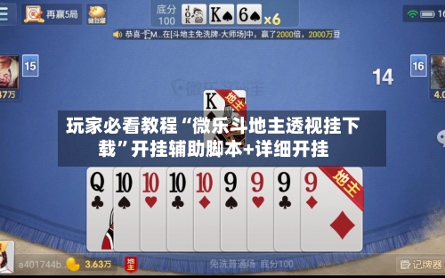 玩家必看教程“微乐斗地主透视挂下载”开挂辅助脚本+详细开挂-第2张图片