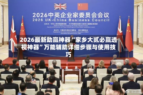 2026最新助赢神器“家乡大贰必赢透视神器”万能辅助详细步骤与使用技巧-第1张图片