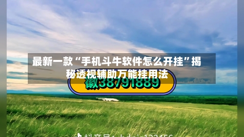 最新一款“手机斗牛软件怎么开挂”揭秘透视辅助万能挂用法-第1张图片