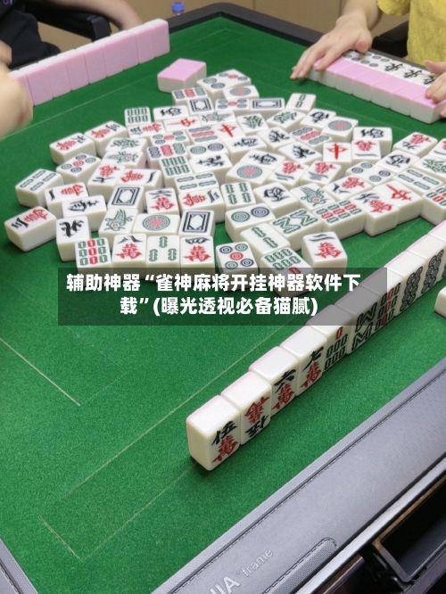 辅助神器“雀神麻将开挂神器软件下载”(曝光透视必备猫腻)-第1张图片
