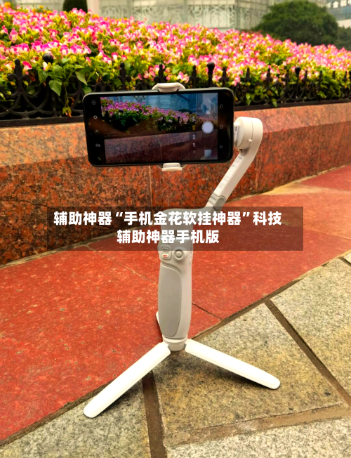 辅助神器“手机金花软挂神器”科技辅助神器手机版-第2张图片