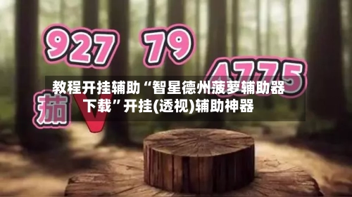 教程开挂辅助“智星德州菠萝辅助器下载	”开挂(透视)辅助神器-第2张图片
