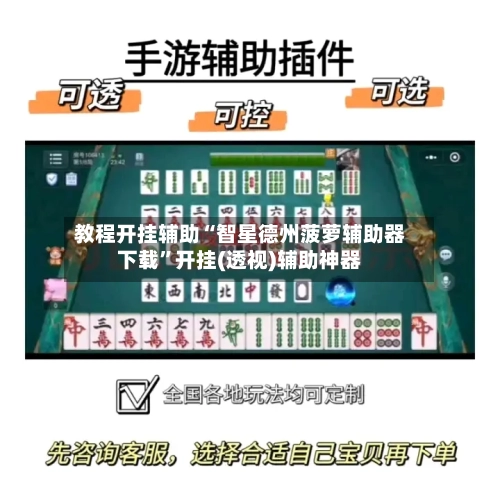 教程开挂辅助“智星德州菠萝辅助器下载”开挂(透视)辅助神器-第3张图片