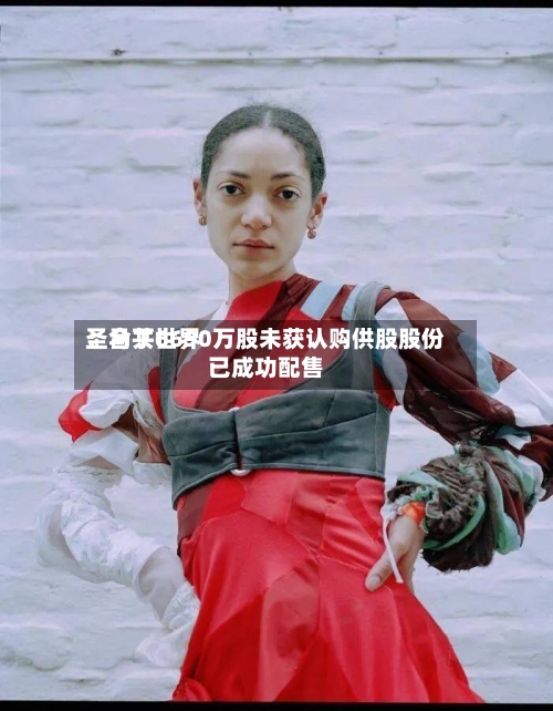 圣马丁世界：合共6690万股未获认购供股股份已成功配售-第2张图片