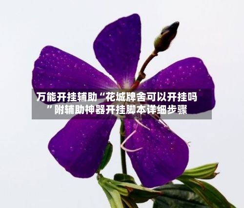 万能开挂辅助“花城牌舍可以开挂吗”附辅助神器开挂脚本详细步骤-第2张图片
