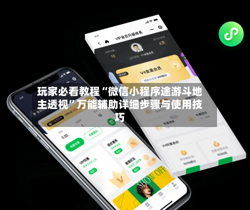 玩家必看教程“微信小程序途游斗地主透视	”万能辅助详细步骤与使用技巧-第1张图片