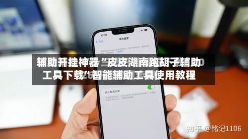 辅助开挂神器“皮皮湖南跑胡子辅助工具下载”智能辅助工具使用教程-第2张图片