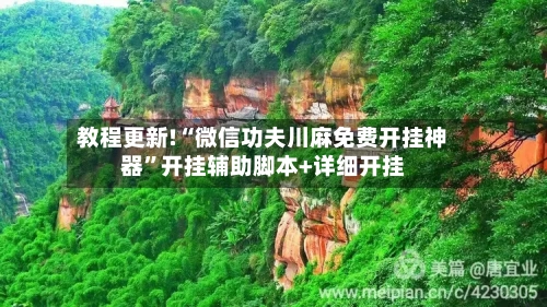 教程更新!“微信功夫川麻免费开挂神器	”开挂辅助脚本+详细开挂-第1张图片