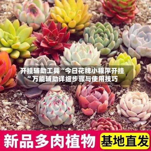 开挂辅助工具“今日花牌小程序开挂”万能辅助详细步骤与使用技巧-第1张图片