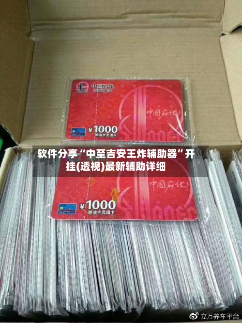 软件分享“中至吉安王炸辅助器	”开挂(透视)最新辅助详细-第2张图片
