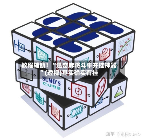 教程辅助！“迅奇麻将斗牛开挂神器”(透视)其实确实有挂-第2张图片