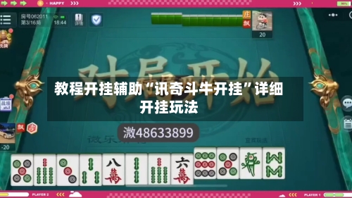 教程开挂辅助“讯奇斗牛开挂”详细开挂玩法-第3张图片