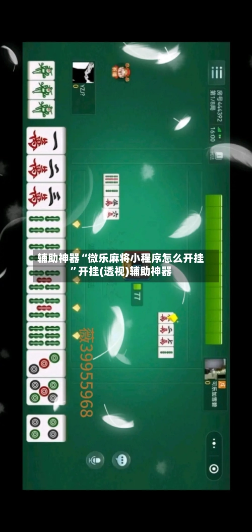 辅助神器“微乐麻将小程序怎么开挂”开挂(透视)辅助神器-第1张图片