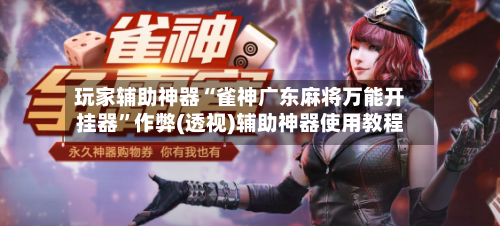 玩家辅助神器“雀神广东麻将万能开挂器”作弊(透视)辅助神器使用教程-第3张图片