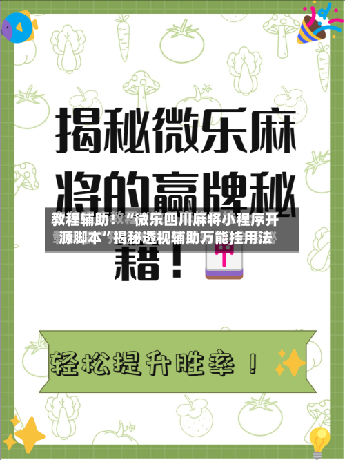 教程辅助！“微乐四川麻将小程序开源脚本”揭秘透视辅助万能挂用法-第3张图片