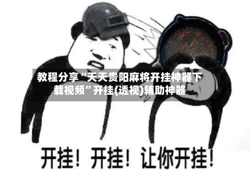 教程分享“天天贵阳麻将开挂神器下载视频”开挂(透视)辅助神器-第2张图片