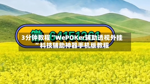 3分钟教程“WePOKer辅助透视外挂”科技辅助神器手机版教程-第1张图片
