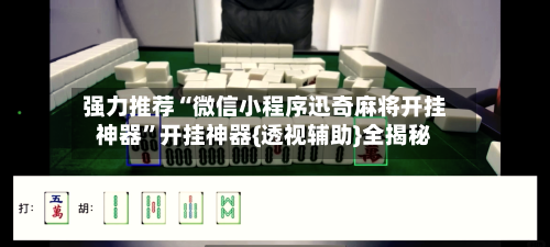强力推荐“微信小程序迅奇麻将开挂神器”开挂神器{透视辅助}全揭秘-第2张图片