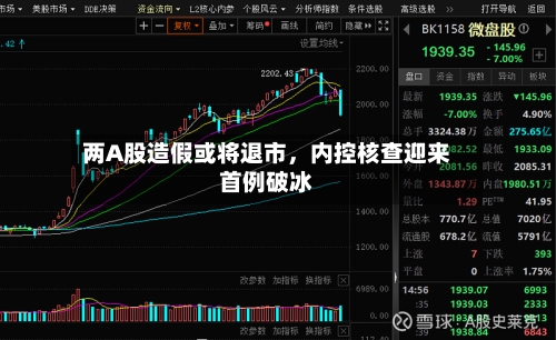 两A股造假或将退市，内控核查迎来首例破冰-第2张图片