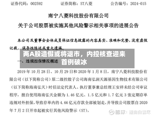 两A股造假或将退市，内控核查迎来首例破冰-第3张图片