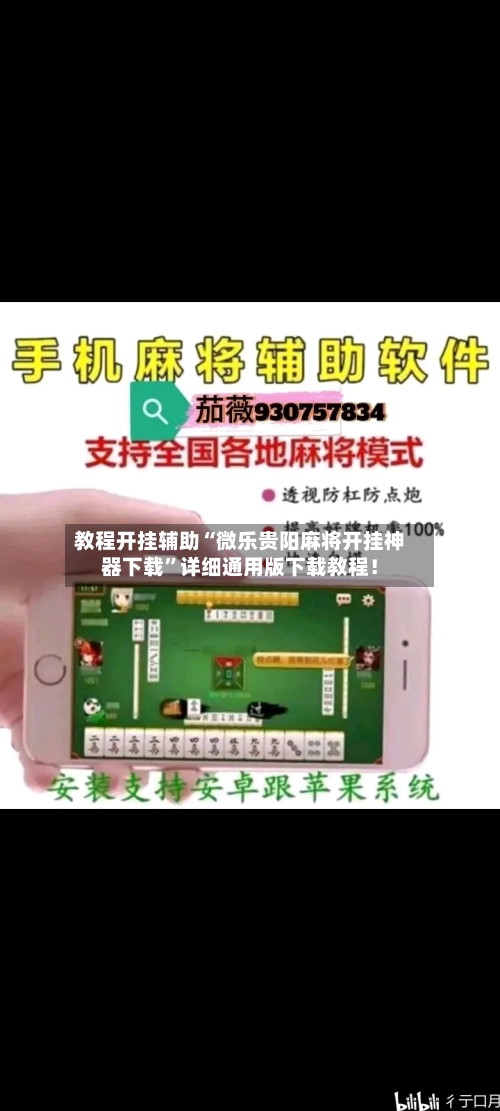 教程开挂辅助“微乐贵阳麻将开挂神器下载”详细通用版下载教程！-第2张图片