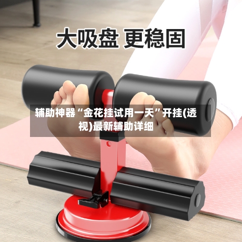 辅助神器“金花挂试用一天	”开挂(透视)最新辅助详细-第1张图片