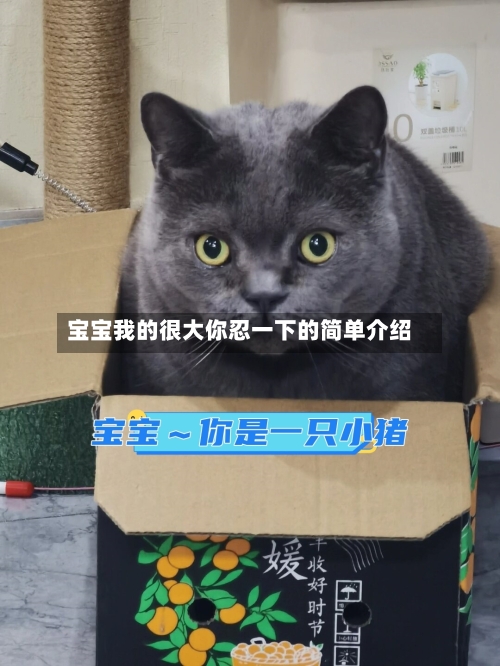 宝宝我的很大你忍一下的简单介绍-第2张图片
