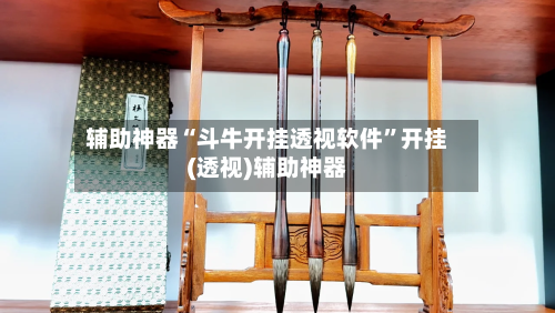 辅助神器“斗牛开挂透视软件”开挂(透视)辅助神器-第3张图片