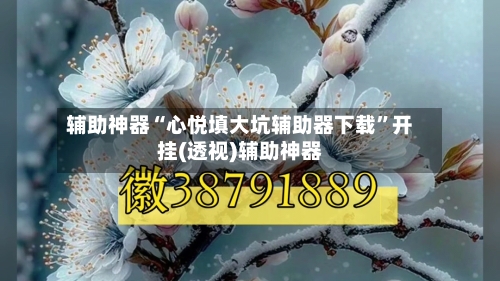 辅助神器“心悦填大坑辅助器下载	”开挂(透视)辅助神器-第1张图片