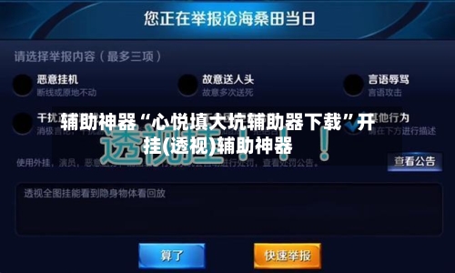 辅助神器“心悦填大坑辅助器下载”开挂(透视)辅助神器-第2张图片