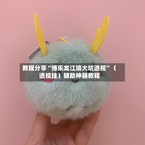 教程分享“博乐龙江填大坑透视”（透视挂）辅助神器教程-第1张图片