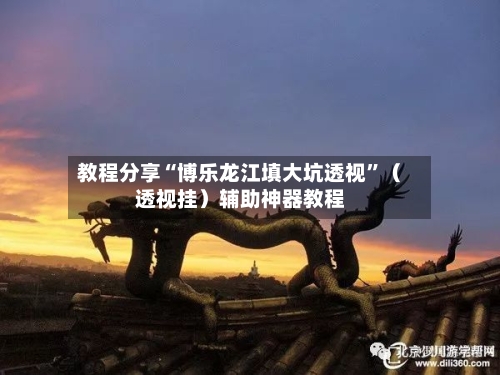 教程分享“博乐龙江填大坑透视	”（透视挂）辅助神器教程-第2张图片