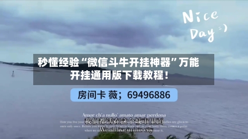 秒懂经验“微信斗牛开挂神器	”万能开挂通用版下载教程！-第2张图片