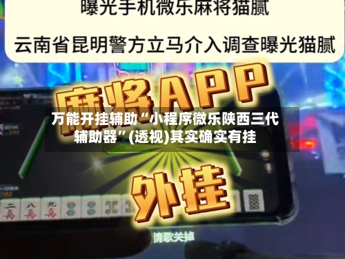 万能开挂辅助“小程序微乐陕西三代辅助器	”(透视)其实确实有挂-第2张图片