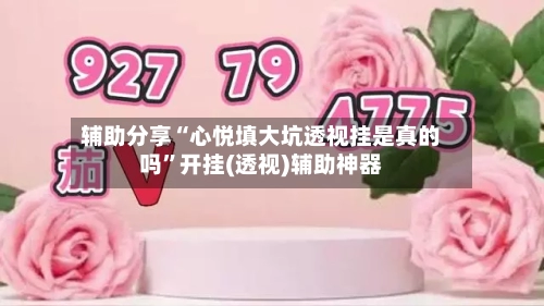 辅助分享“心悦填大坑透视挂是真的吗	”开挂(透视)辅助神器-第1张图片