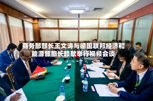商务部部长王文涛与德国联邦经济和能源部部长赖歇举行视频会谈-第1张图片