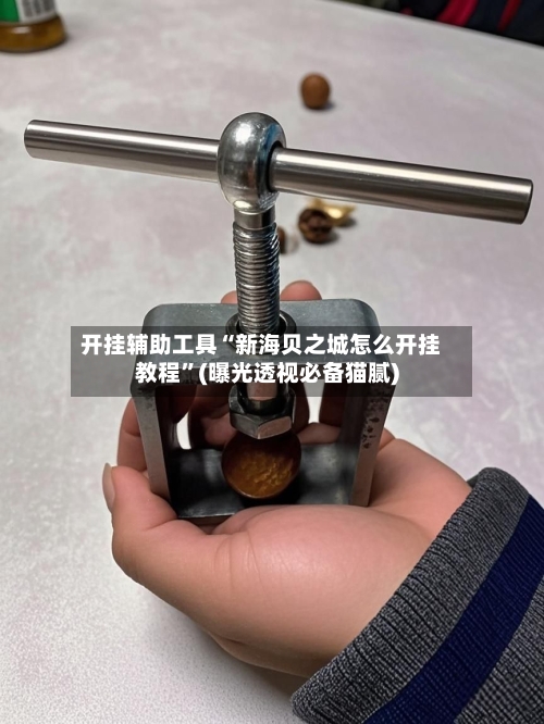 开挂辅助工具“新海贝之城怎么开挂教程”(曝光透视必备猫腻)-第2张图片