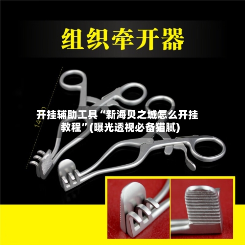开挂辅助工具“新海贝之城怎么开挂教程”(曝光透视必备猫腻)-第3张图片