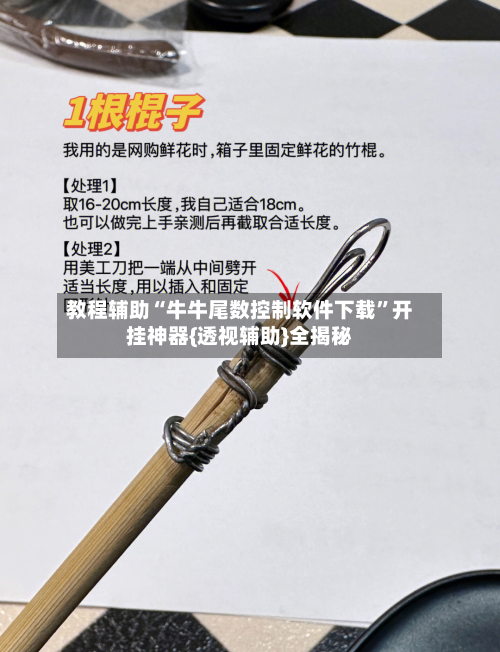 教程辅助“牛牛尾数控制软件下载	”开挂神器{透视辅助}全揭秘-第2张图片