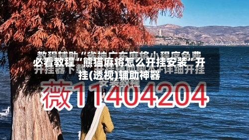 必看教程“熊猫麻将怎么开挂安装”开挂(透视)辅助神器-第1张图片