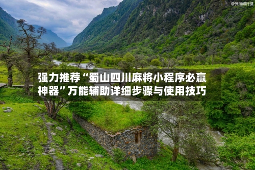 强力推荐“蜀山四川麻将小程序必赢神器”万能辅助详细步骤与使用技巧-第2张图片