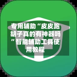 专用辅助“皮皮跑胡子真的有神器吗	”智能辅助工具使用教程-第1张图片