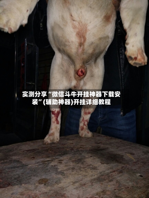 实测分享“微信斗牛开挂神器下载安装”(辅助神器)开挂详细教程-第2张图片